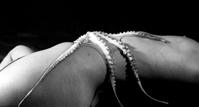 Concha Lagoa Portfolio - Photograph 28